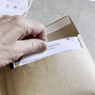 Two Flavor Sample Pack