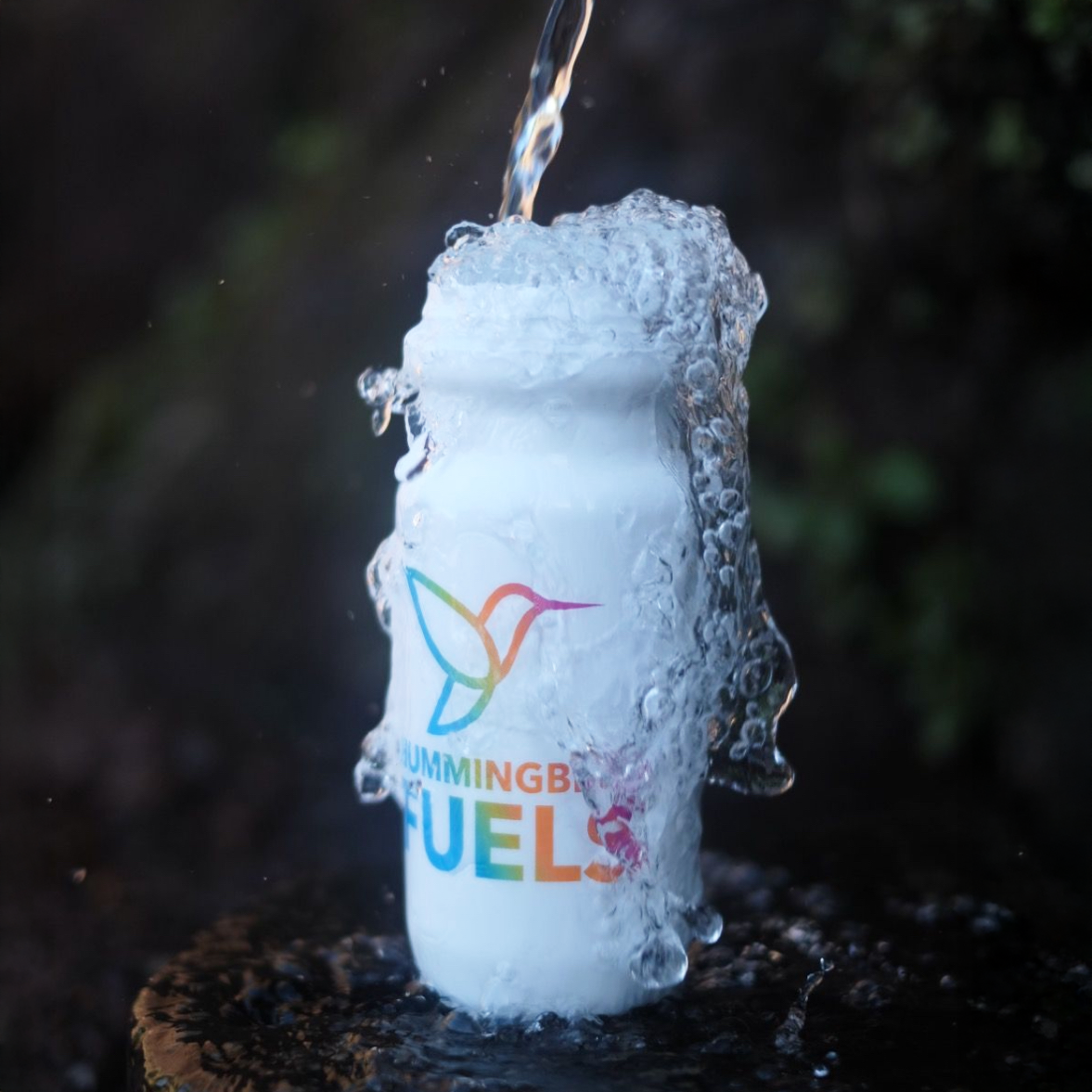 The Starter Bundle | Hummingbird Fuels